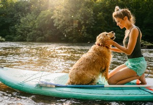 Summer Activities - Paddleboarding